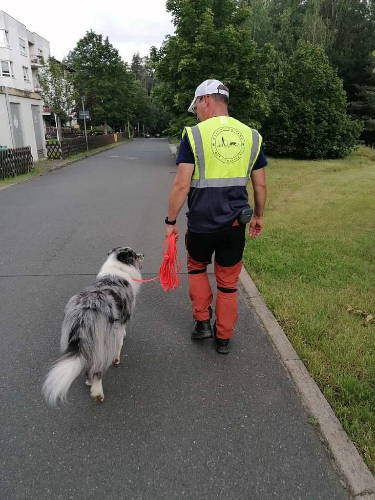 Marco Schüttler mit Hund beim Mantrailing-Training in der Stadt – Trainingscenter Ost-Thüringen