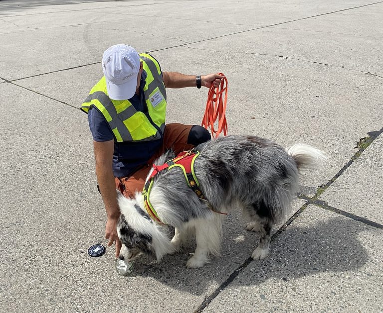 Hund wird für den Start eines Mantrailing-Trails ausgerüstet – Trainingscenter Ost-Thüringen