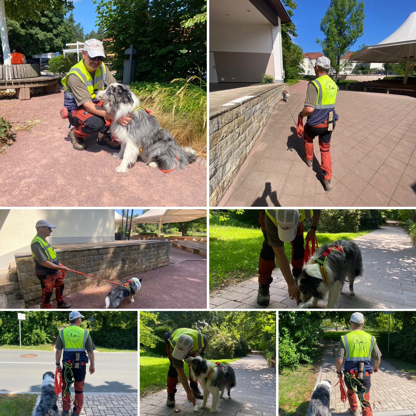 Ein Trainingstag im Kurpark: Was zwischen Leine und Fundort passiert