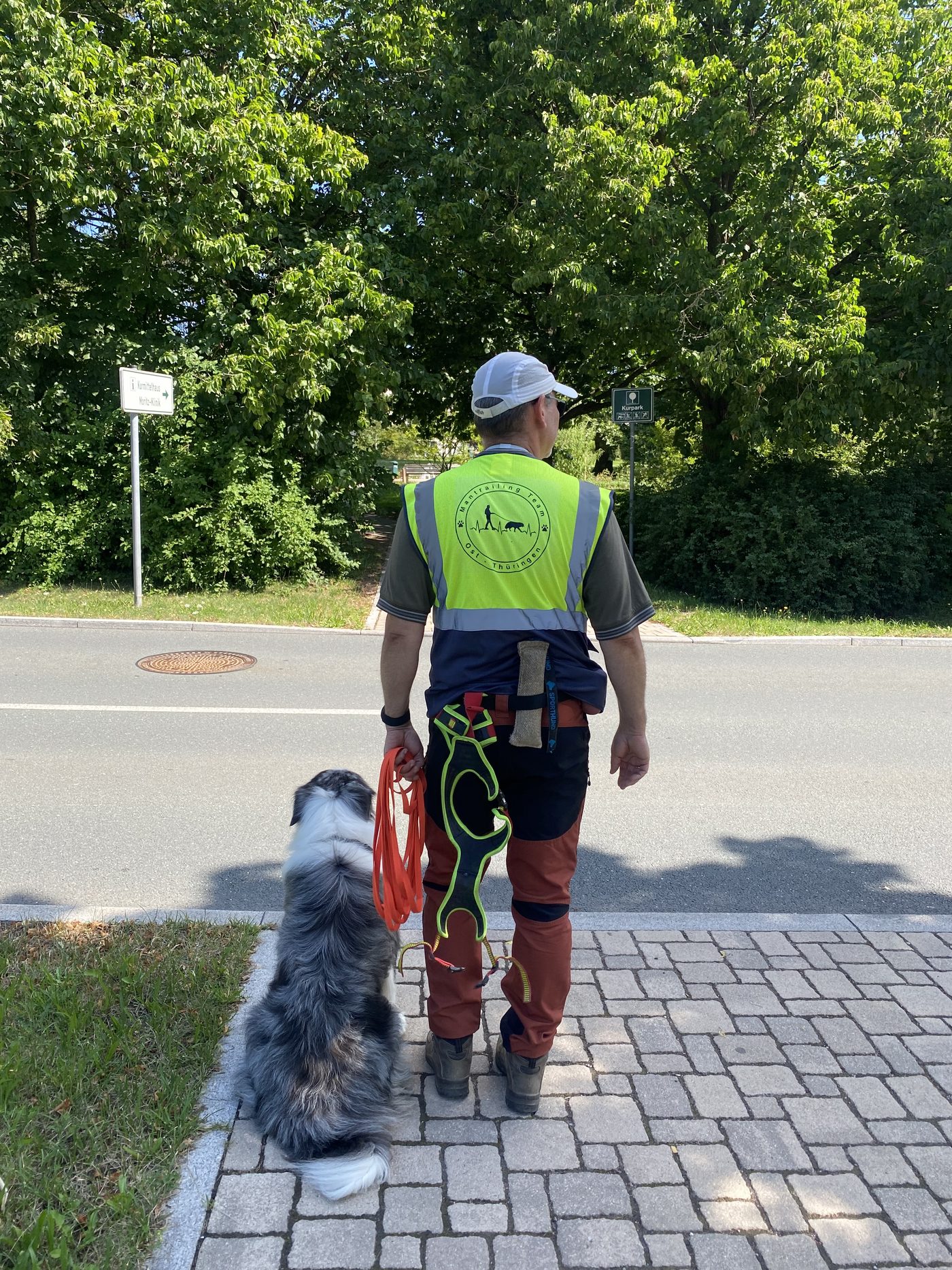 Mantrailing Übungen für zu Hause: Was du wirklich trainieren solltest