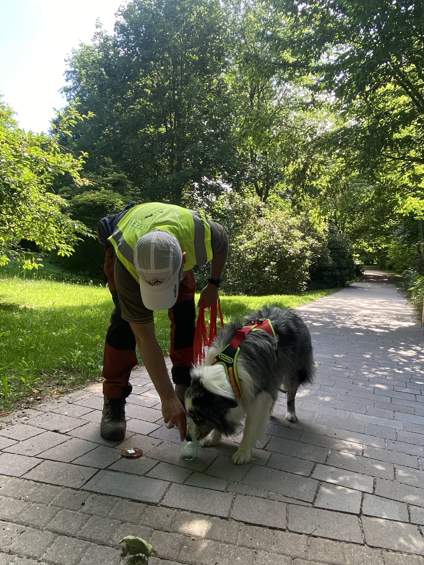 Hundeführer beobachtet seinen Hund beim Mantrailing