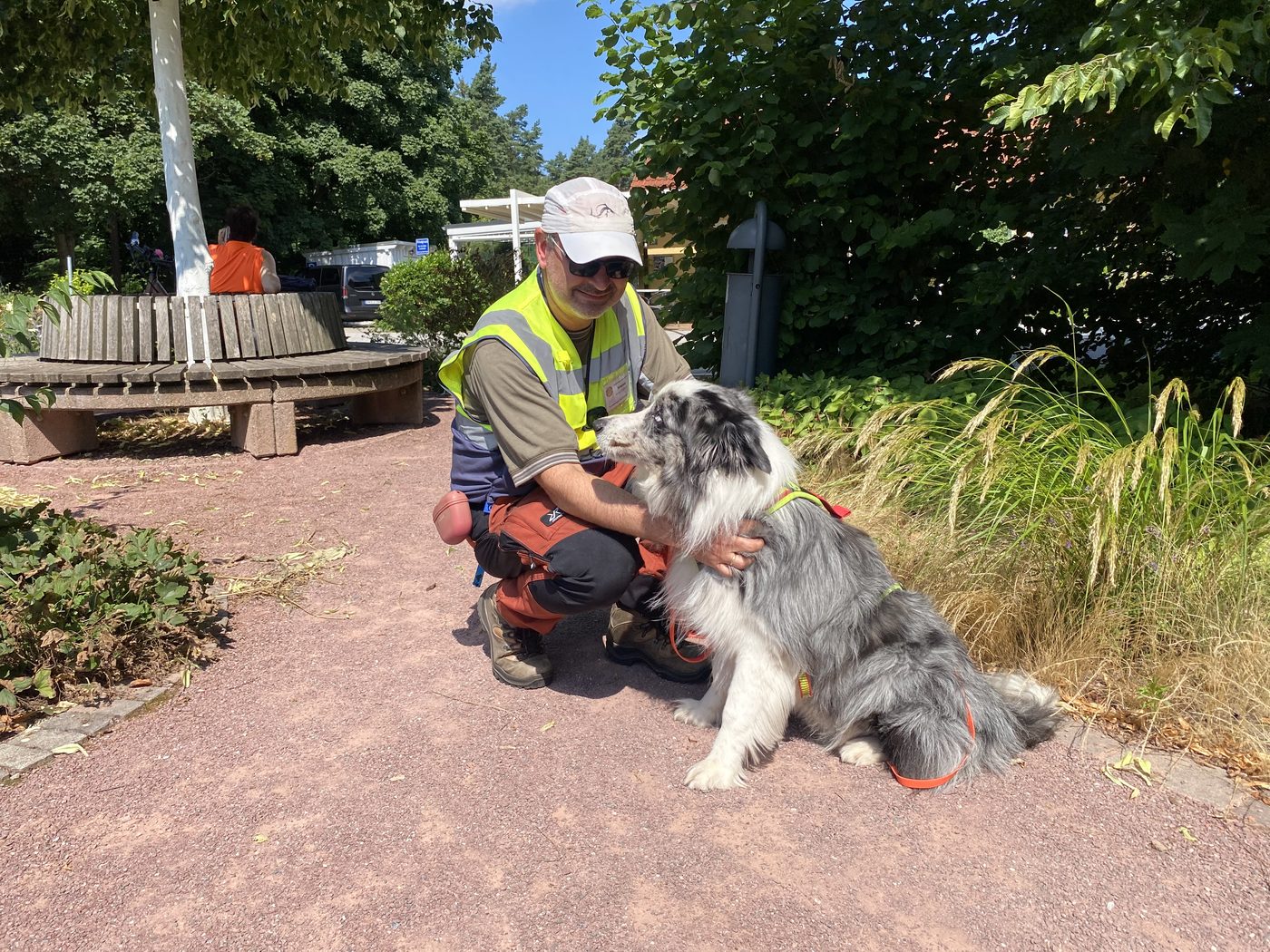 Hund in verschiedenen Umgebungen beim Training