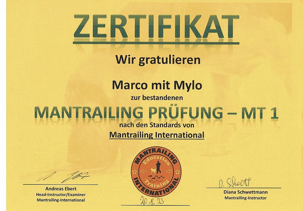 Zertifikat MT 1